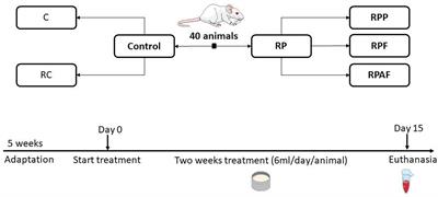 The Step of Incorporation of Bacillus coagulans GBI-30 6086 Into “requeijão cremoso” Processed Cheese Does Not Affect Metabolic Homeostasis of Rats